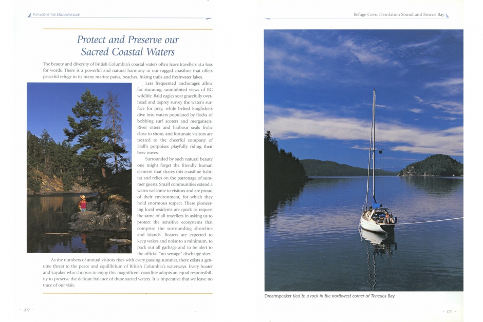 Dreamspeaker essay 03 picture